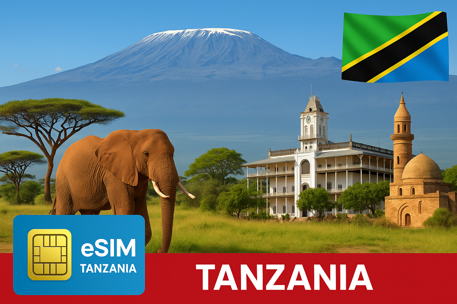 eSim לטנזניה